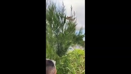 1 hectare parti en fumée à Salazie, le Dash appelé en renfort