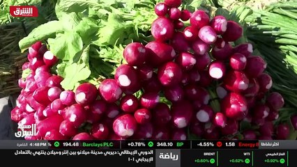 ...التقرير أشار أيضا إلى زيادة الجوع الحاد ...