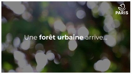 Forêt urbaine place de Catalogne : la concertation est lancée