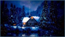 I dreamed of a wonderful Christmas | Blizzard at the refuge