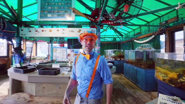 Aprende sobre Animales Acuáticos con Blippi | Canciones para niños | Canciones educativas