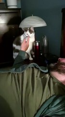 Boop the Snoot to Light the Room