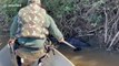 Ils découvrent un énorme anaconda dans les branches en bord de rivière