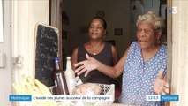 Martinique : les jeunes quittent l'île pour de meilleures carrières