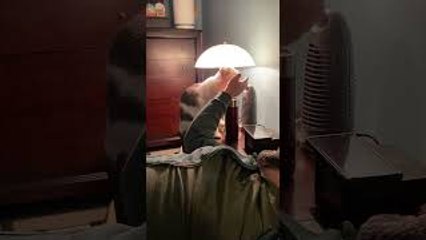 Boop the Snoot to Light the Room