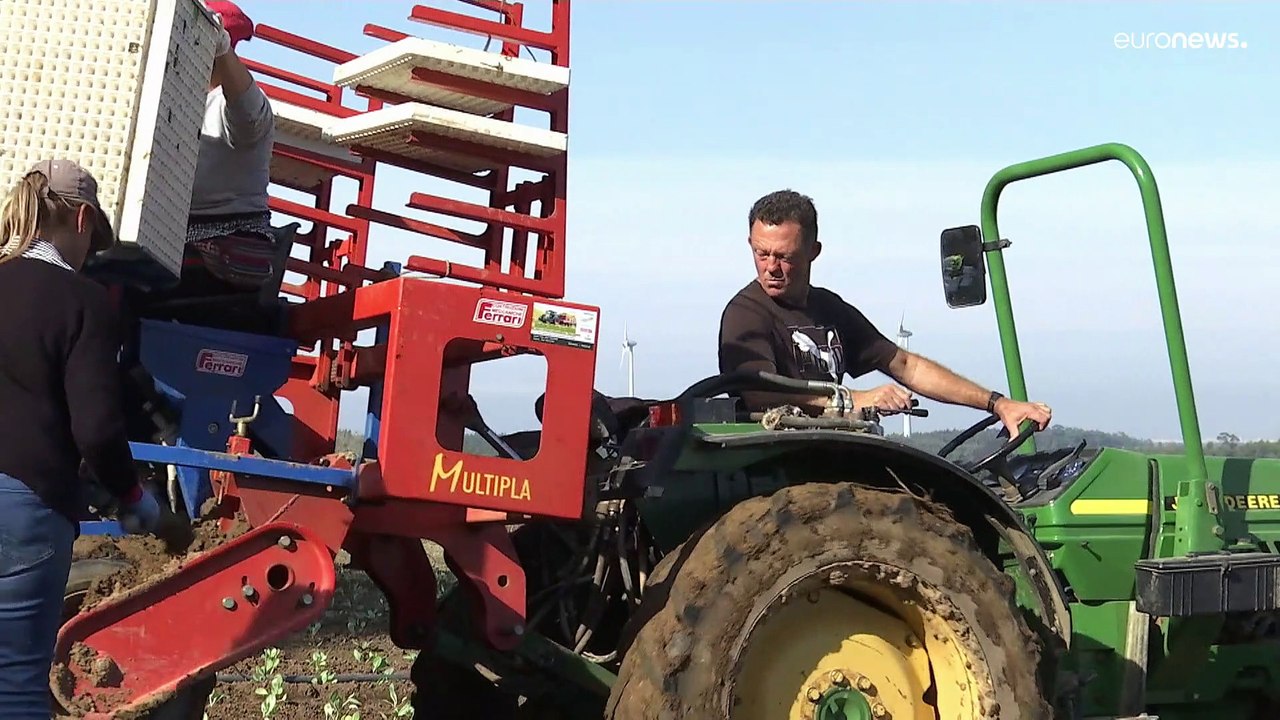 Preisexplosionen in der Nahrungskette: Zwischen Kündigung und Konkurs