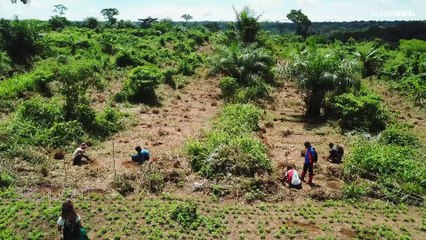 RDC : un "pays solution" pour la planète et les fermiers congolais