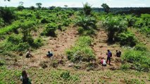 Biodiversità e lotta al cambiamento climatico nella foresta pluviale del bacino del Congo