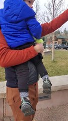 Person Walking Between Two Bull Elk Gets Charged