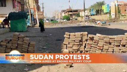 Sudan: More than 100 protesters detained in latest crackdown