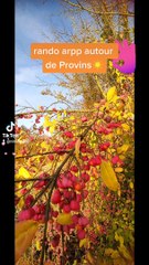 Lundi  8 novembre que de monde le top merci Marie Christine et chantal