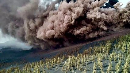 I love the world: la empresa tinerfeña que muestra a los palmeros si el volcán ha dañado sus casas