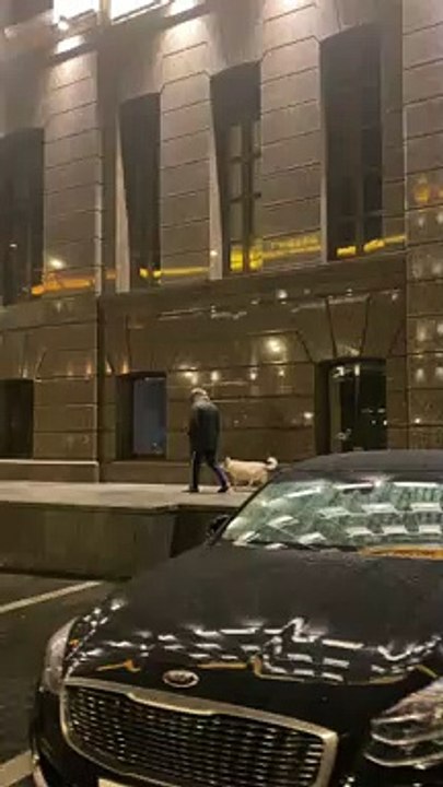 Dog Hops In Every Archway