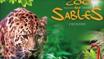 Visite au Zoo des Sables D ' Olonne ( Vendée ) , Jeudi 4 Novembre 2021