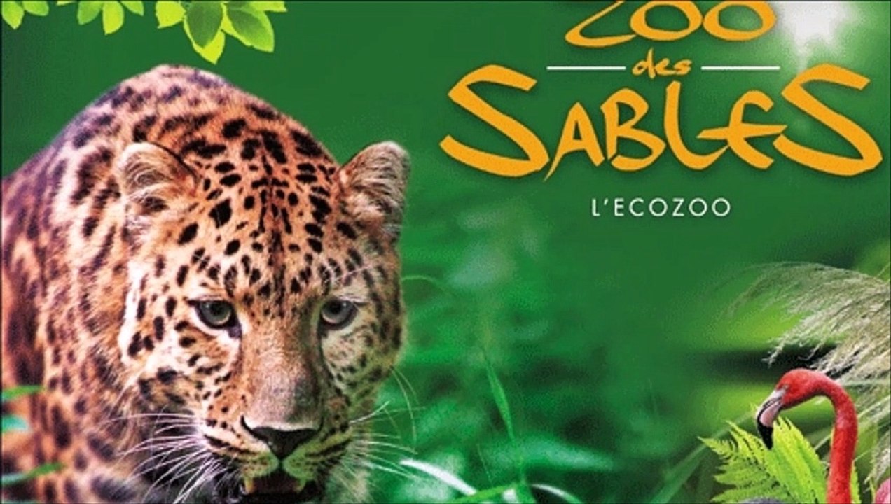 Visite au Zoo des Sables D ' Olonne ( Vendée ) , Jeudi 4 Novembre 2021