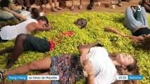 Mayotte : à la découverte de l'ylang-ylang, le trésor des Mahorais