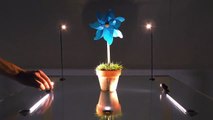 Energia invisível: “vidro elétrico” pode virar tendência de decoração