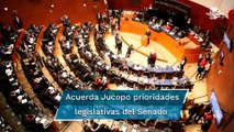 Discutirá Senado la regulación de cannabis y leyes de Economía Circular y Movilidad en este periodo