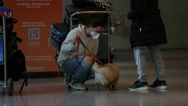 El turismo vuelve a Estados Unidos tras levantarse las restricciones de viaje