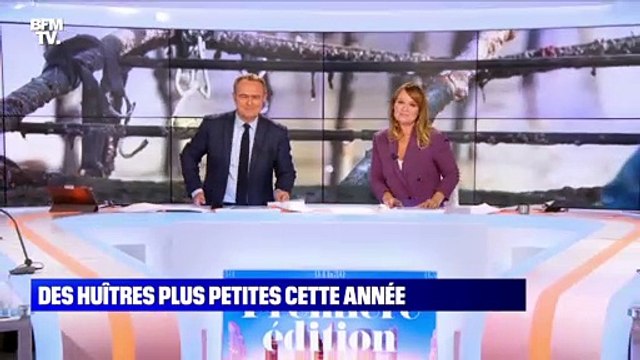 Des huîtres plus petites cette année - 09/11