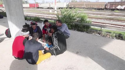 Sığınmacılar hayallerindeki Avrupa için yük trenlerinde kaçak yolculuk yapıyor