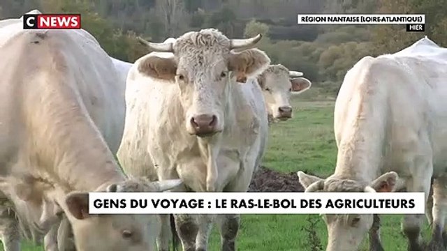Malgré une amende forfaitaire de 500 à 1.000 euros entrée en vigueur pour lutter contre les installations illicites des gens du voyage, les agriculteurs ne cachent pas leur colère