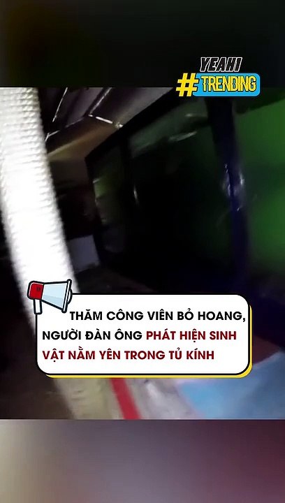 Thăm công viên bỏ hoang, người đàn ông phát hiện sinh vật nằm yên trong tủ kính