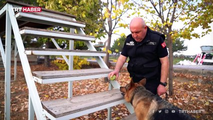 Bomba arama köpekleri önemli operasyonlara katılıyor