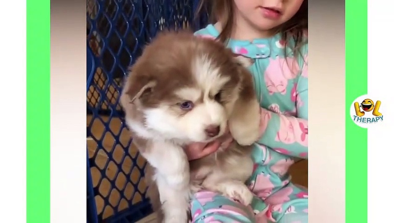 Cute babies and pets compilation - Adorable Babies Playing With Dogs and Cats - Funny Babies