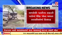 Lion seen roaming in Dhari safari park, Amreli _ Tv9GujaratiNews