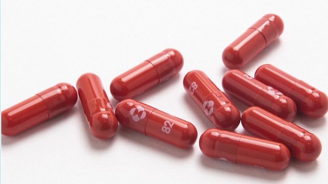 [뉴스큐] 먹는 코로나19 치료제 내년 2월 도입 ...부작용 우려는? / YTN