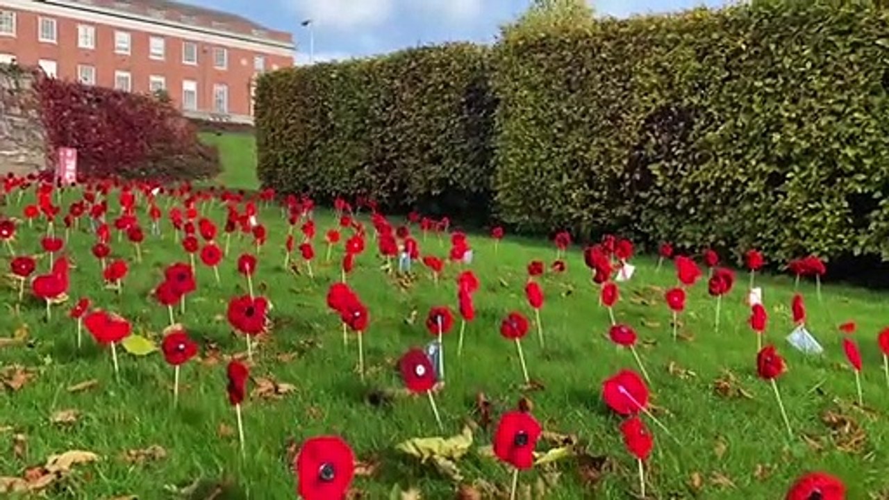 What to do for rememberance day