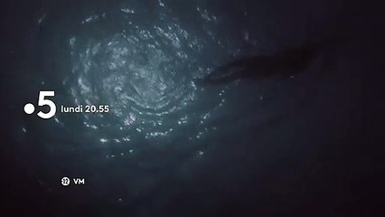 [BA] Les dents de la mer - 15/11/2021