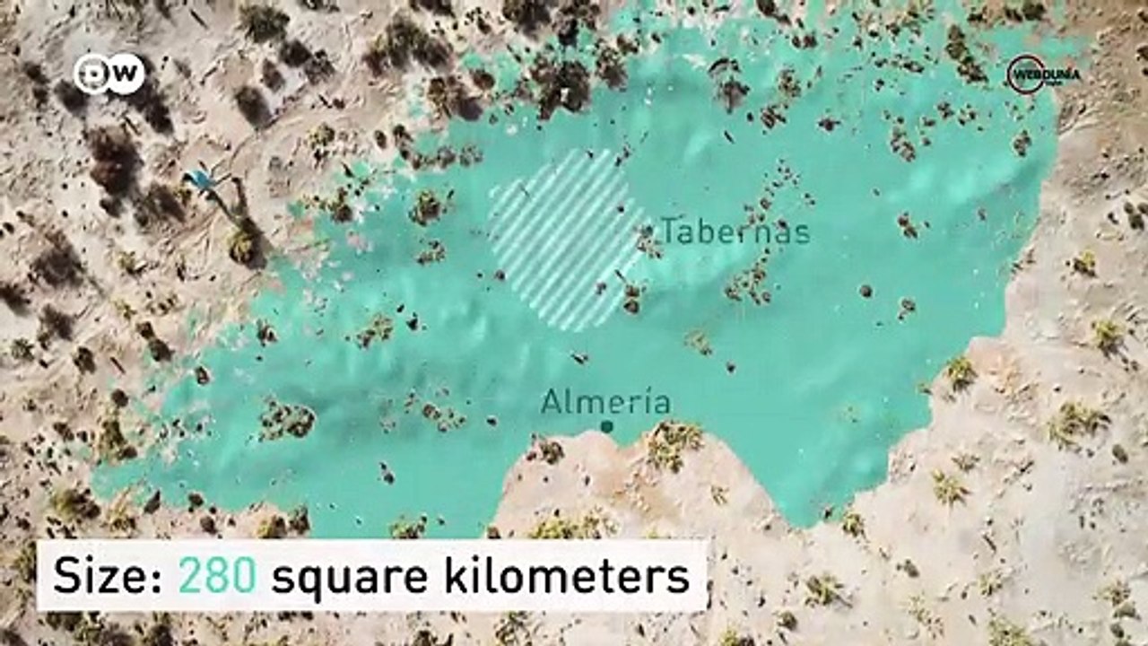 Cowboy Country | Europe to the Maxx