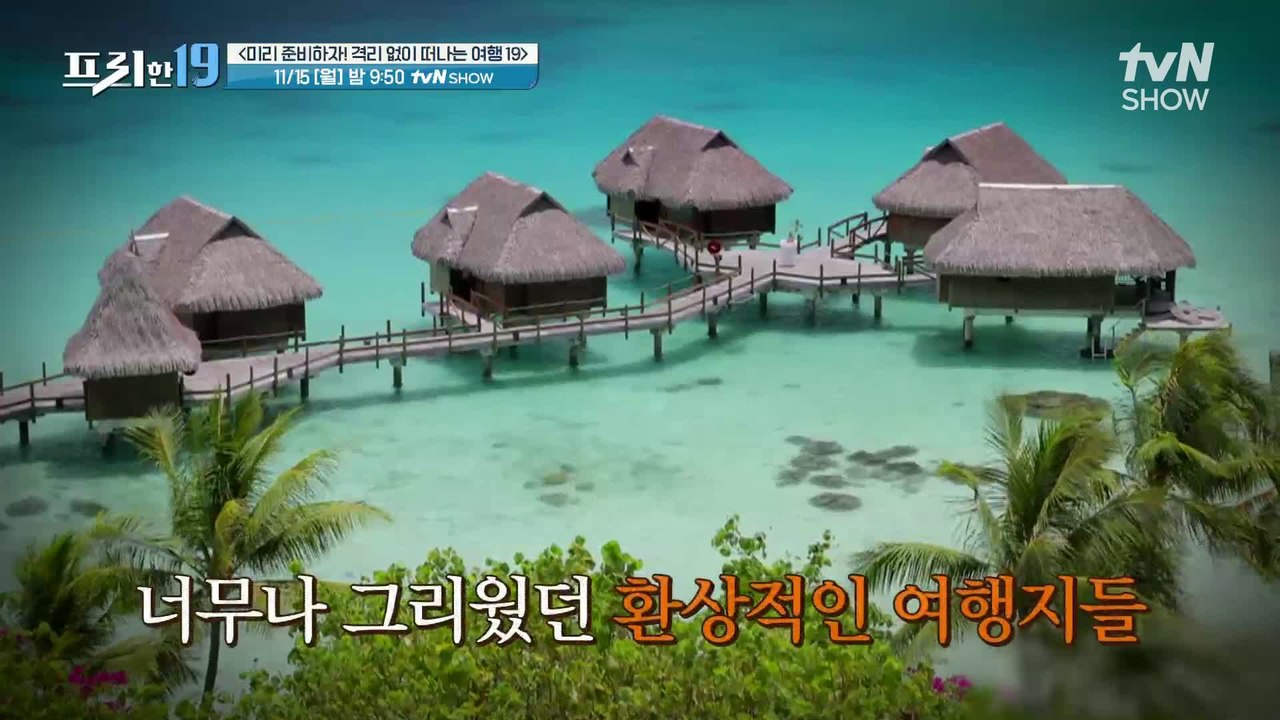 [예고] 미리 준비하자! 격리 없이 떠나는 여행 19