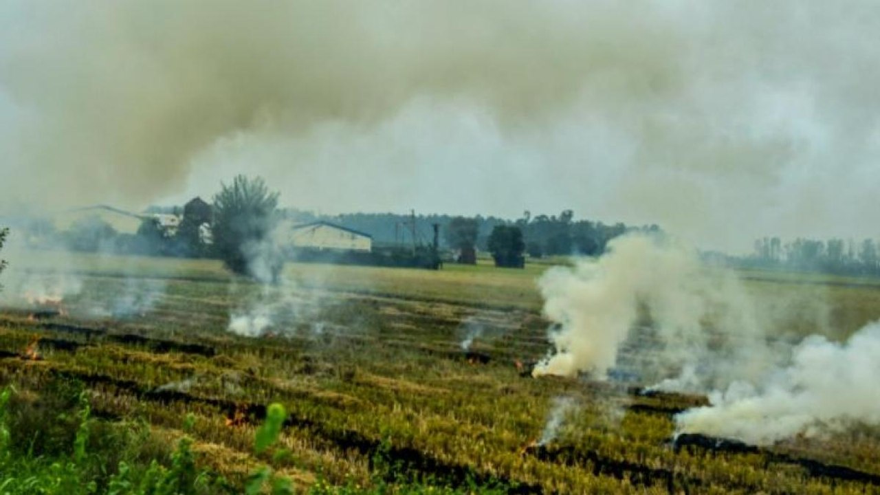 Stubble burning in Punjab causes air pollution...
