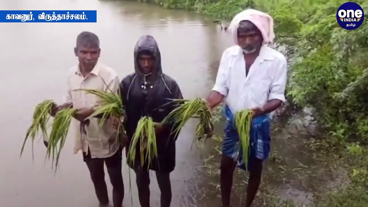 தமிழகமெங்கும் வெளுத்து வாங்கும் மழை.. ஆறுகளில் வெள்ளம்.. நிரம்பி வழியும் அணைகள் - வீடியோ
