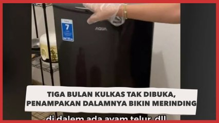 Tiga Bulan Kulkas Tak Dibuka, Penampakan Dalamnya Bikin Merinding