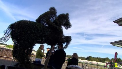 OVOToB 2019 stage seven highlights