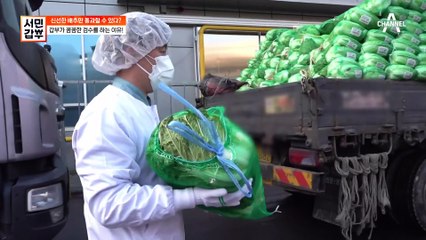신선한 배추만 통과할 수 있다? 갑부만의 배추 검수 비법!