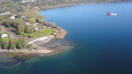 Dev sazanları tuttular, 40 bin liralık ödülün sahibi oldular