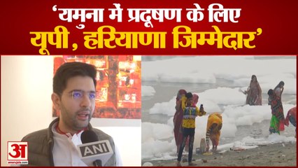 दिल्ली में यमुना हुई काली| Polluted Water Is Gift To Delhi By Haryana UP Govts-Raghav Chadha
