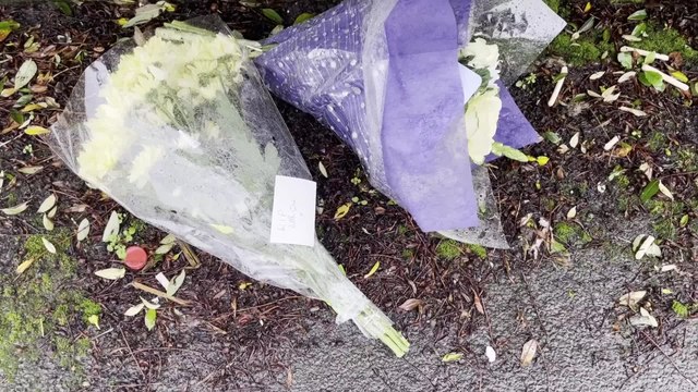 Un jeune garçon gallois de 10 ans est décédé des suites d’une attaque de chien