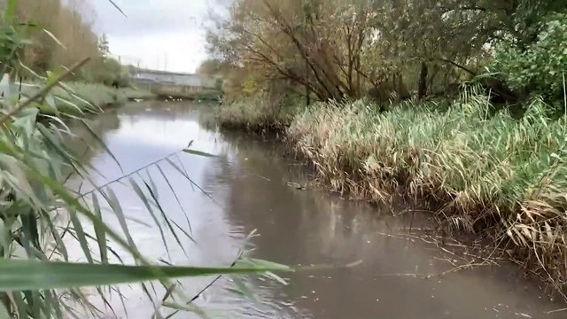 London Waterkeeper is hoping that MPs will back amendment so untreated sewage is not discharged from overflows