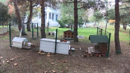 BÜYÜKÇEKMECE'DE 'DÜĞÜN KONVOYU YOLU' TEPKİSİ