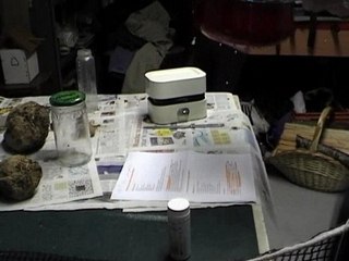 Tpe betterave expérience