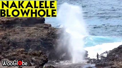 ''A Fascinating Spectacle' - Maui's Nakalele Blowhole shoots seawater tens of feet in the air'