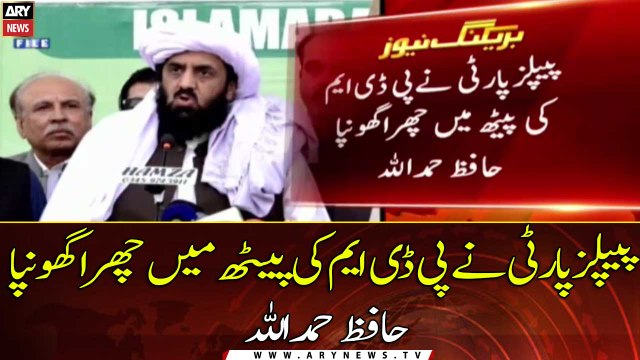 PPP stabs PDM from behind: Hafiz Hamdullah