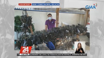 Halos 200 ibon sa isang migratory bird sanctuary na ilegal na hinuli para ibenta, nasagip | 24 Oras