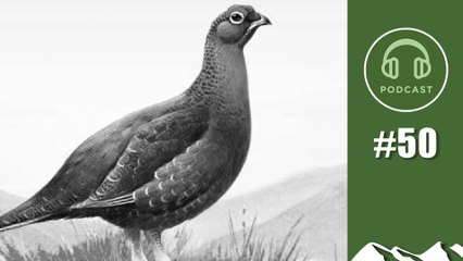 Famous Grouse artist – FieldsportsChannel Podcast, episode 50